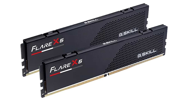 Фото - Память DDR G.Skill Flare X5 DDR5-6000 96GB (2x48GB) (F5-6000J3036F48GX2-FX5)