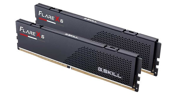 Фото - Память DDR G.Skill Flare X5 DDR5-6000 96GB (2x48GB) (F5-6000J3036F48GX2-FX5)