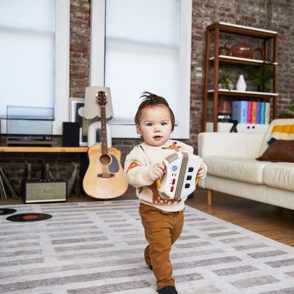 Фото - Аккордион Tiny Love коллекция Rock N Roll (1506906830)