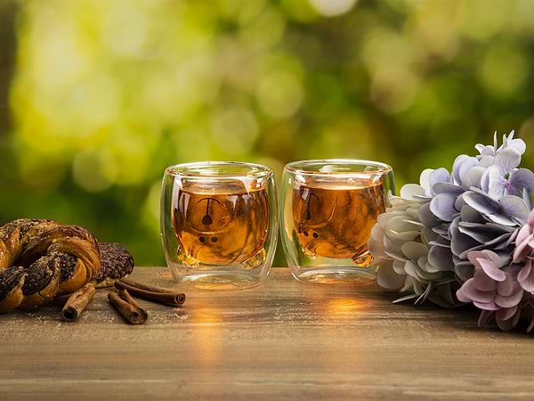 Фото - Набор стаканов с двойными стенками Ardesto Animals 250 мл 2 шт. (AR2625GA)