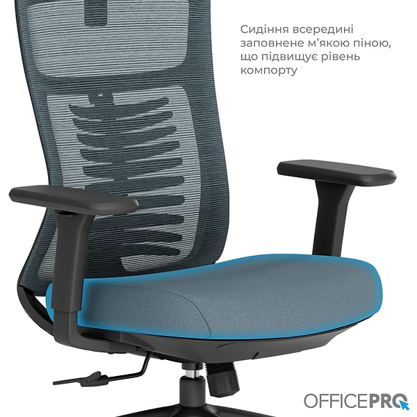Фото - Крісло офісне OfficePro Balance (OC550-B-DG-DG) Black/Dark Gray