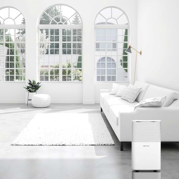 Фото - Осушувач повітря WetAir WAD-A10L