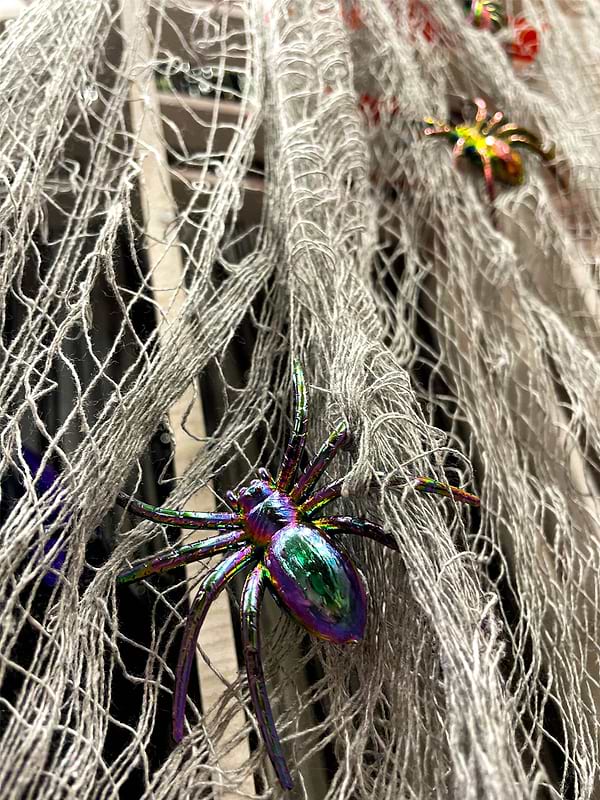 Фото - Декор Halloween YES! Fun "Creepy Cloth", 76*270 см, сіра (973670)