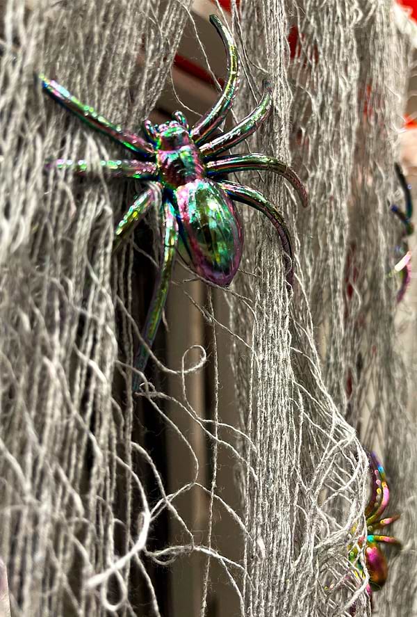 Фото - Декор Halloween YES! Fun "Creepy Cloth", 76*270 см, сіра (973670)