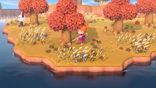 Фото - Ігровий картридж Nintendo Animal Crossing: New Horizons [Nintendo Switch]