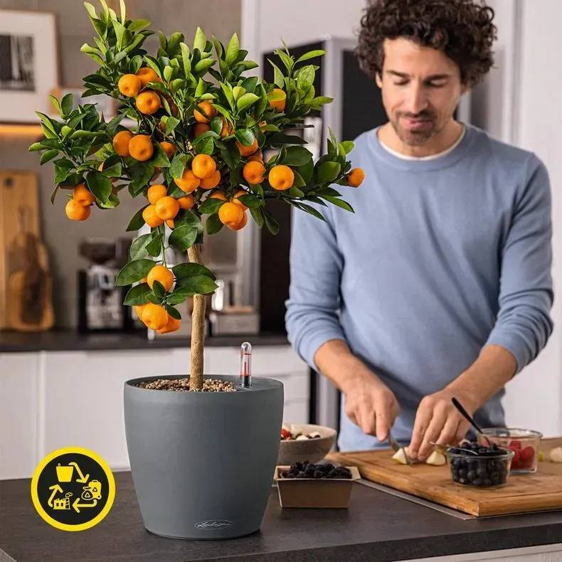 Фото - Вазон Lechuza CLASSICO Color ECO 35 сірий 18933