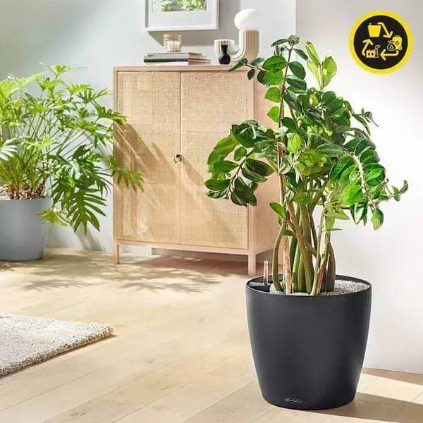 Фото - Вазон Lechuza CLASSICO Color ECO 35 сірий 18933