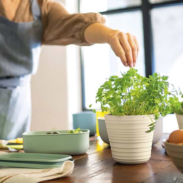 Фото - Вазон Guzzini 196200158