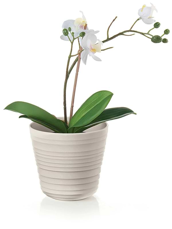 Фото - Вазон Guzzini 19620079