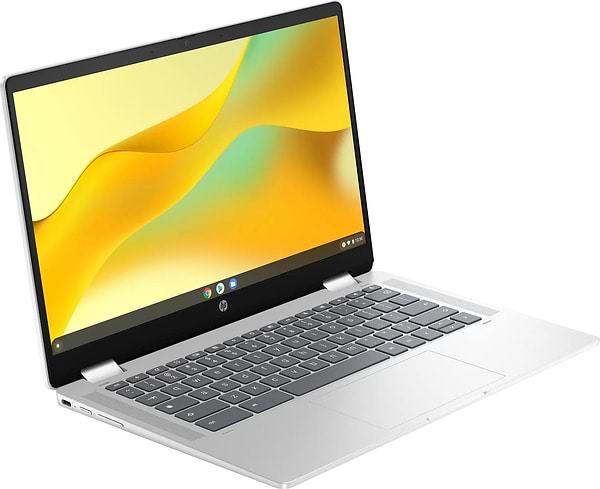 Фото - Ноутбук HP Chromebook x360 (198828598608) Silver
