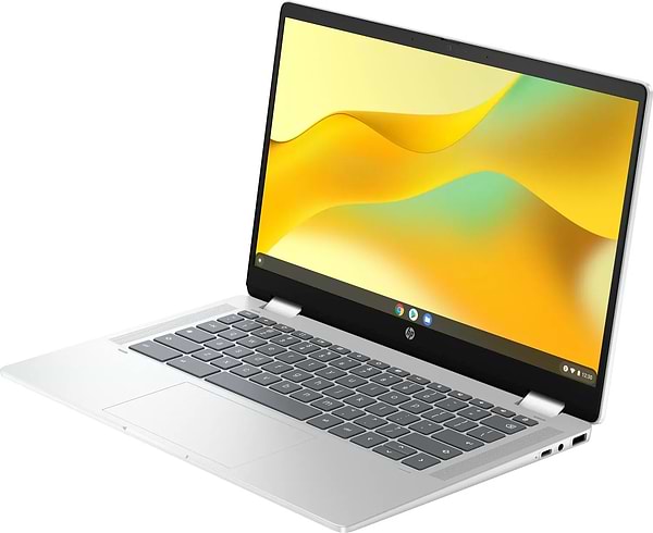 Фото - Ноутбук HP Chromebook x360 (198828598608) Silver