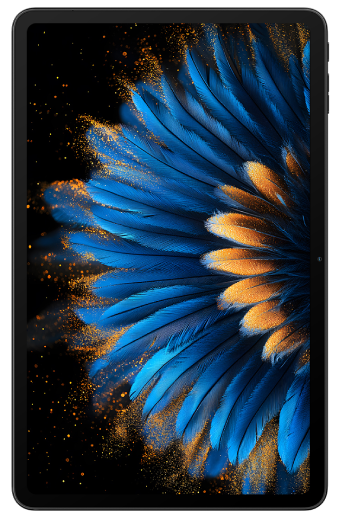 Фото - Планшет Blackview TAB Mega 2 12" 8/256Gb LTE Grey (BVMEGA2LTE8256G)