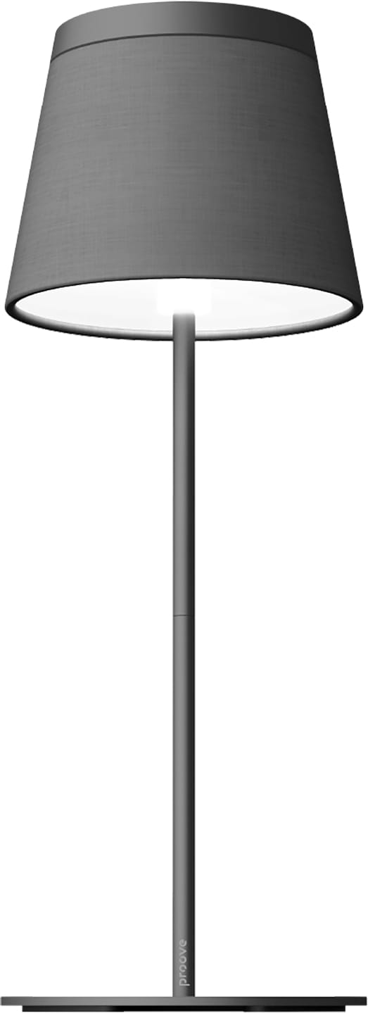 Настольная лампа Proove Vintage Black (NLPV05012001)