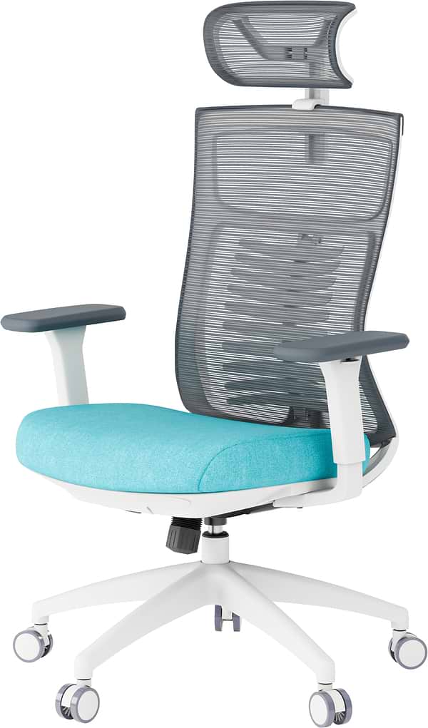 Фото - Крісло офісне OfficePro Balance (OC550-W-DG-BL) White/Dark Gray/Blue