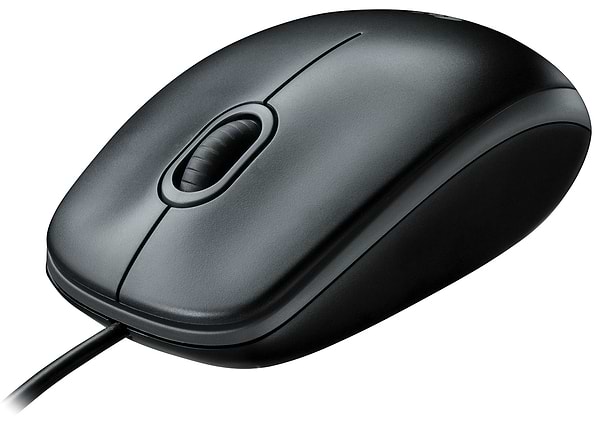 Фото - Мышь компьютерная Logitech B100 (910-003357)