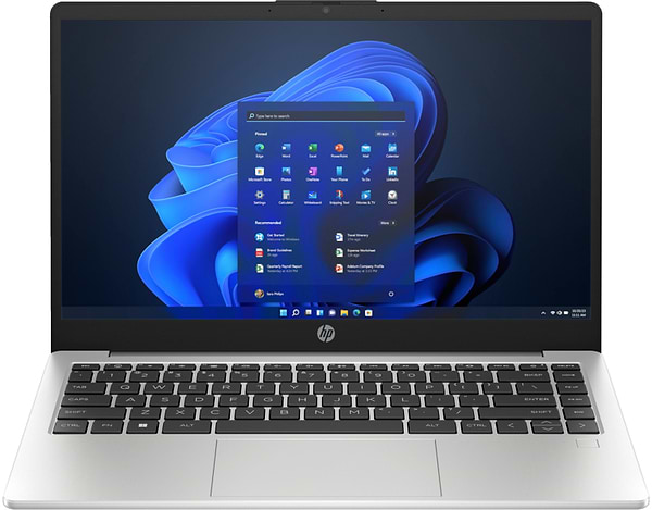 Фото - Ноутбук HP 245 G10 (A3DU5ES) Turbo Silver
