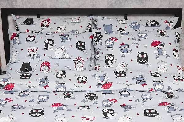 Фото - Комплект постельного белья Moon&Star Бязь Gold Люкс «Owls Gray» 200х220 нав. 2х50х70  (MS-820005471)