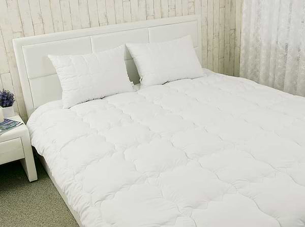 Фото - Набір ковдра двоспальна + 2 подушки Руно 172х205 Warm Silver + 50х70 см (172.52_Warm Silver)