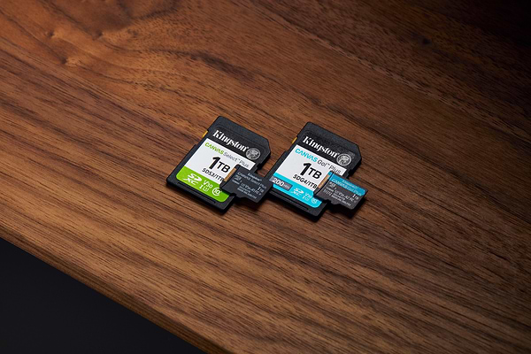 Фото - Карта пам'яті Kingston 1TB microSDXC Canvas Select Plus Gen3 (SDCS3/1TB)