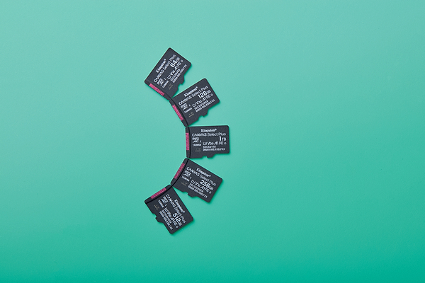 Фото - Карта пам'яті Kingston 64GB microSDXC Canvas Select Plus Gen3 (SDCS3/64GBSP)