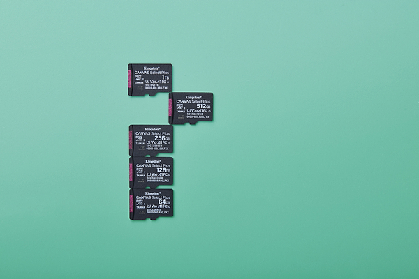 Фото - Карта пам'яті Kingston 64GB microSDXC Canvas Select Plus Gen3 (SDCS3/64GBSP)