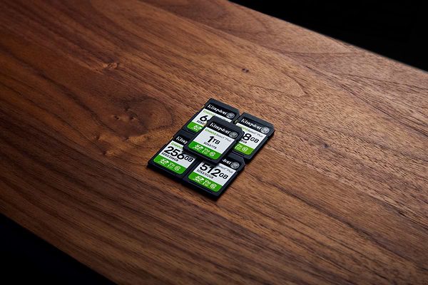 Фото - Карта пам'яті Kingston 256GB SDXC Canvas Select Plus Gen3 (SDS3/256GB)