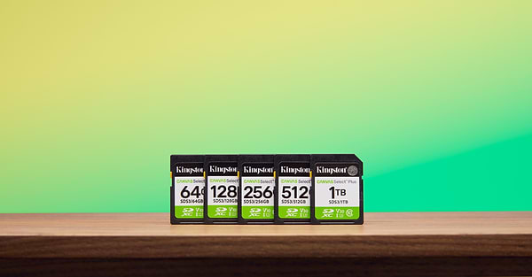 Фото - Карта пам'яті Kingston 256GB SDXC Canvas Select Plus Gen3 (SDS3/256GB)