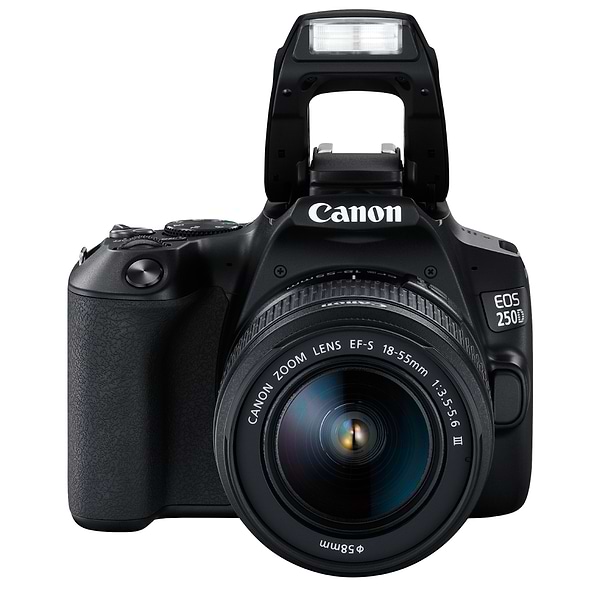 Фото - Фотокамера дзеркальна Canon EOS 250D kit 18-55 DC III Black (3454C009)