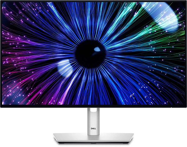 Фото - Монитор игровой Dell U2424HE (210-BKJF)