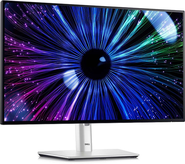 Фото - Монитор игровой Dell U2424HE (210-BKJF)