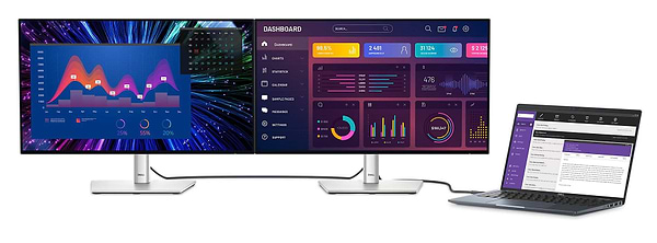 Фото - Монитор игровой Dell U2424HE (210-BKJF)