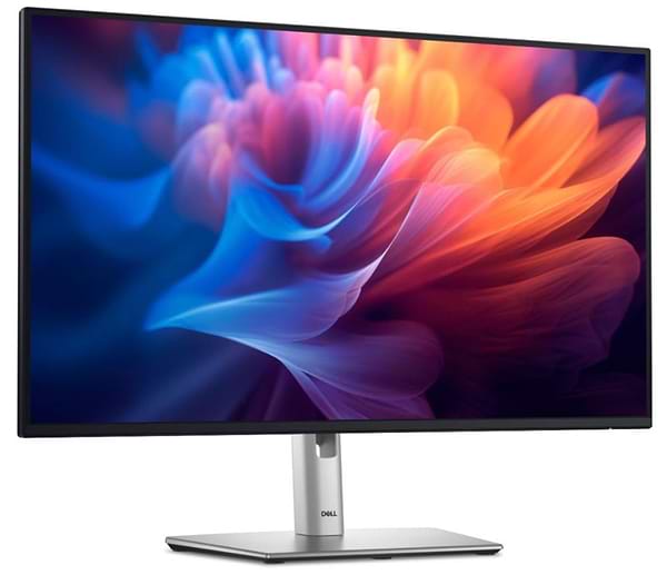 Фото - Монітор Dell P2425H (210-BMFF)