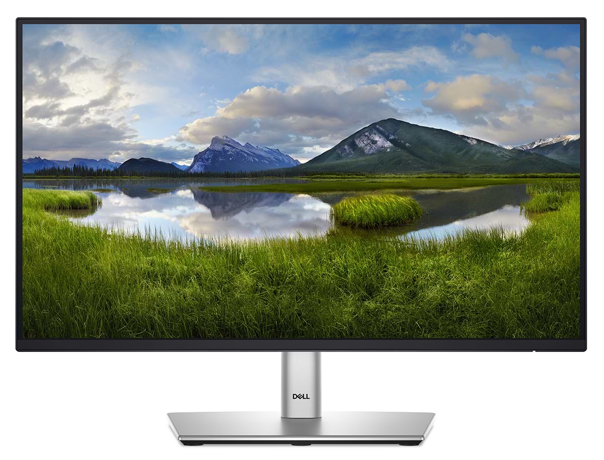 Монитор Dell P2225H (210-BMHD) - Фото 1