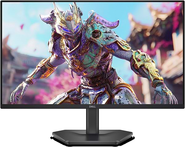 Фото - Монитор игровой Dell SE2426HG (210-BTTF)