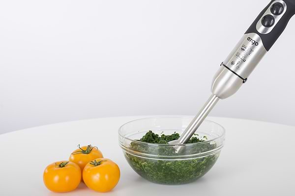 Фото - Блендер погружной Ergo EHB 5000