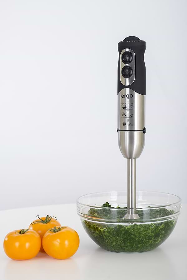 Фото - Блендер погружной Ergo EHB 5000