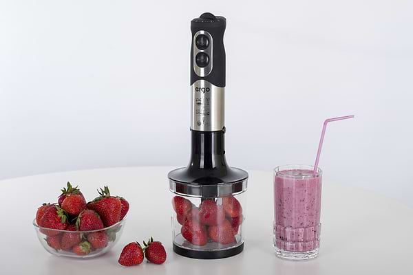 Фото - Блендер погружной Ergo EHB 5000