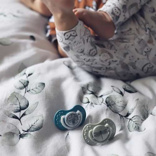 Фото - Симетрична пустушка Lovi Botanic Botanic для хлопчика силіконова, 2 шт. (22/870boy)