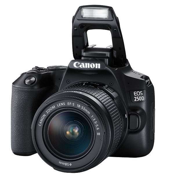Фото - Фотокамера дзеркальна Canon EOS 250D kit 18-55 DC III Black (3454C009)