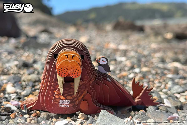 Фото - 3D пазли EUGY Зоопарк: Морж (XEG-107)