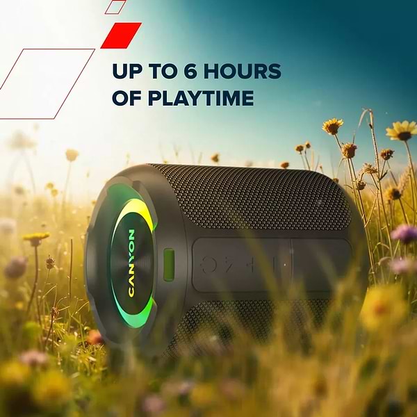 Фото - Портативная акустика Canyon OnMove 11 IPX6 TWS 20W EQ RGB Black (CNE-CBTSP11)