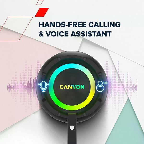 Фото - Портативная акустика Canyon OnMove 11 IPX6 TWS 20W EQ RGB Black (CNE-CBTSP11)