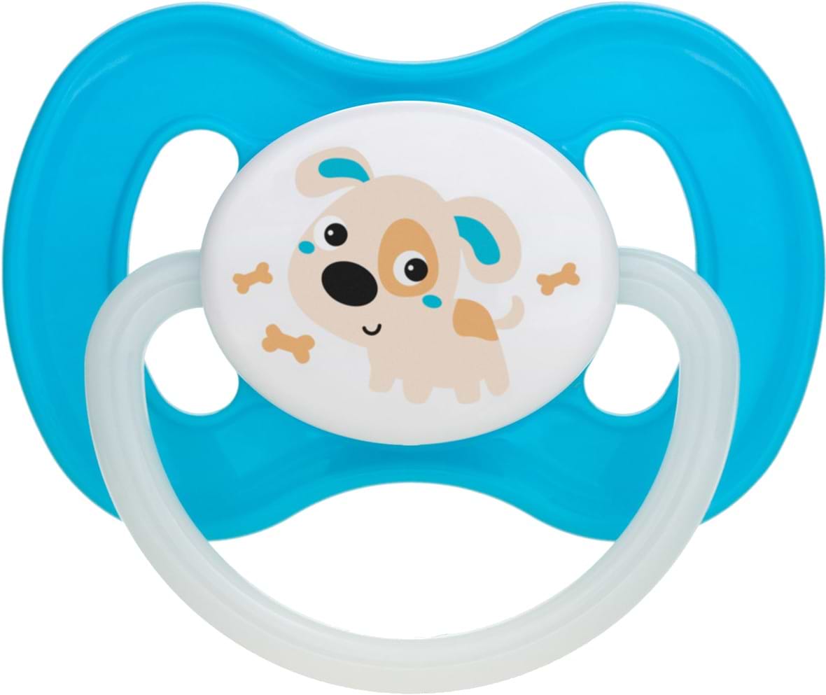 Симметричная пустышка Canpol babies Bunny & Company силиконовая 0-6 мес. бирюзовая, 1 шт. (23/268_tur)