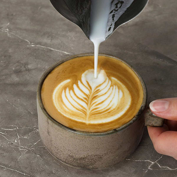 Фото - Кавоварка ріжкова Electrolux E8EC1-8BP