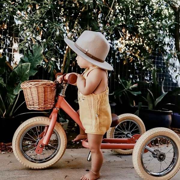 Фото - Біговел Trybike Pink (TBS-2-PNK-VIN+TBS-100-TKV)