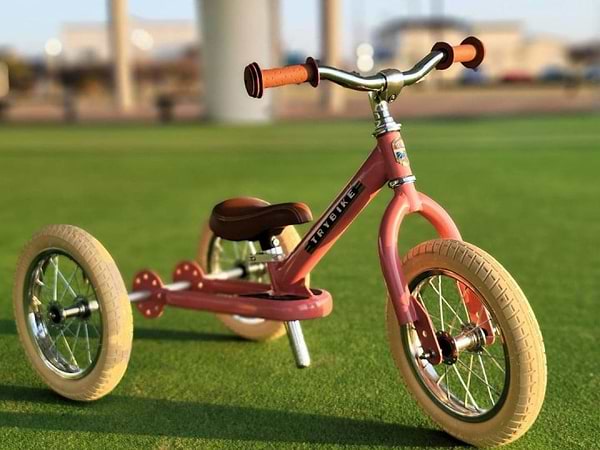 Фото - Біговел Trybike Pink (TBS-2-PNK-VIN+TBS-100-TKV)