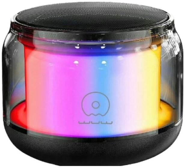 Портативная акустика WUW R213 3W Black