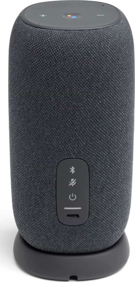 Фото - Портативна акустика JBL Link Portable Gray (JBLLINKPORGRY)