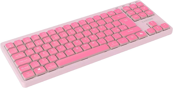 Фото - Клавіатура дротова Canyon OnType 10 TKL Mechanical Silent Low-profile Pink (CNS-HKB10P)