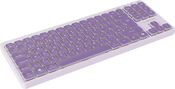 Фото - Клавіатура дротова Canyon OnType 10 TKL Mechanical Silent Low-profile Violet (CNS-HKB10V)